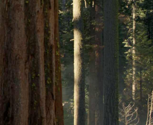 北朝鮮実践ガイド:効果的な取り組み方法